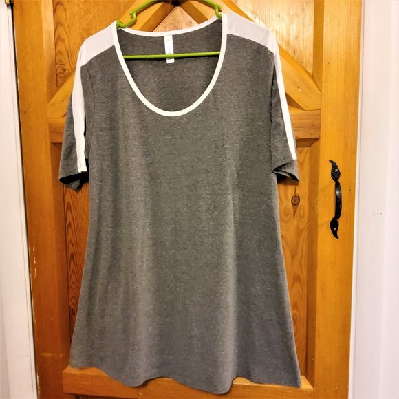 LuLaRue Tops - LuLaRue Short Sleeve Gray Tunic